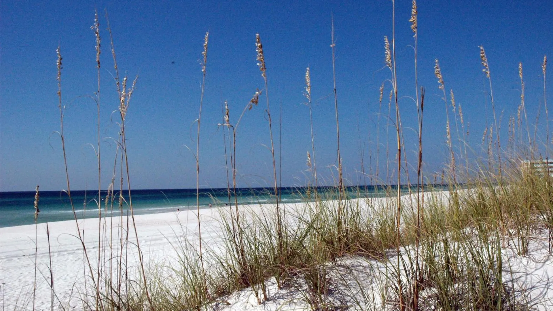Sunbird 0405E 'No Worries' Villa Panama City Beach Tatil Evi